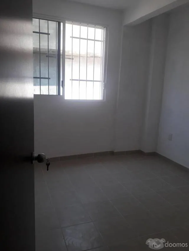 Alquilo Departamento - Los Olivos, Izaguirre — foto 6