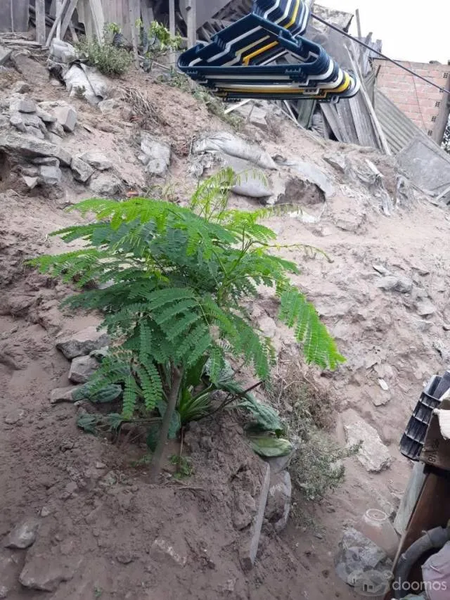 Terreno Villa Maria vmt 122 m2 Documentos al dia, titulo agua luz desague — foto 6