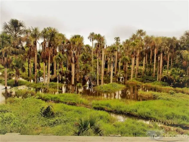 Terreno 9 Has eje de carretera S/. 350,000 - 3