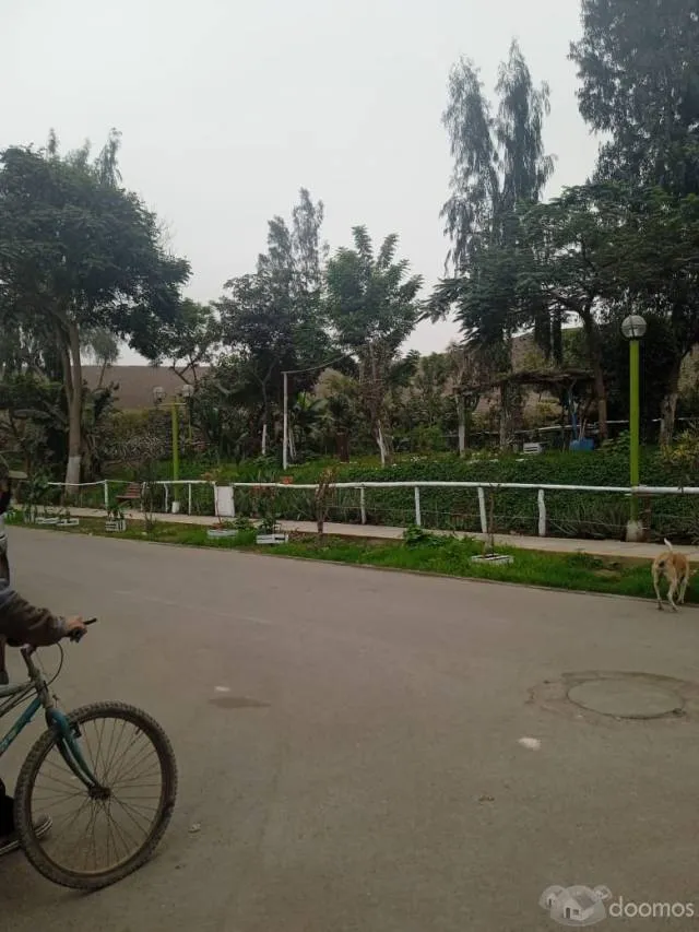 Terreno en urbanización — foto 12