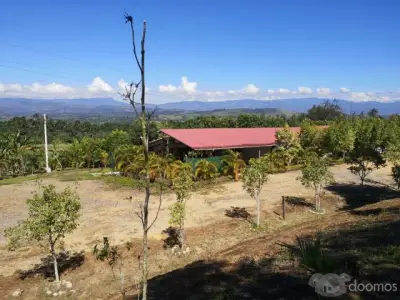 VENTA DE TERRENO RURAL EN SECTOR CHUINA - DISTRITO DE MORALES - TARAPOTO