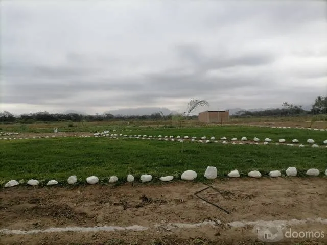 Terrenos en Motupe - áreas extensas — foto 3