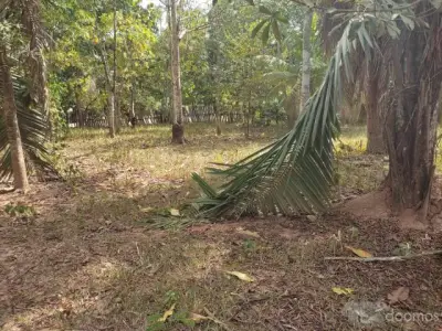TERRENO EN VENTA EN TUSHMO - PUCALLPA