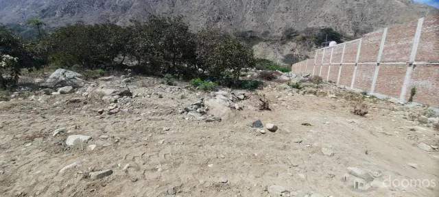 VENTA DE TERRENO CAMINO A SIMBAL - SECTOR PEDREGAL - 2