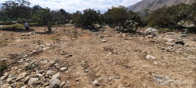 VENTA DE TERRENO CAMINO A SIMBAL - SECTOR PEDREGAL - 3