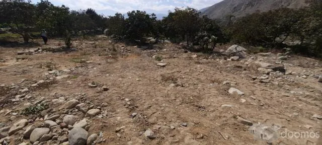 VENTA DE TERRENO CAMINO A SIMBAL - SECTOR PEDREGAL - 4