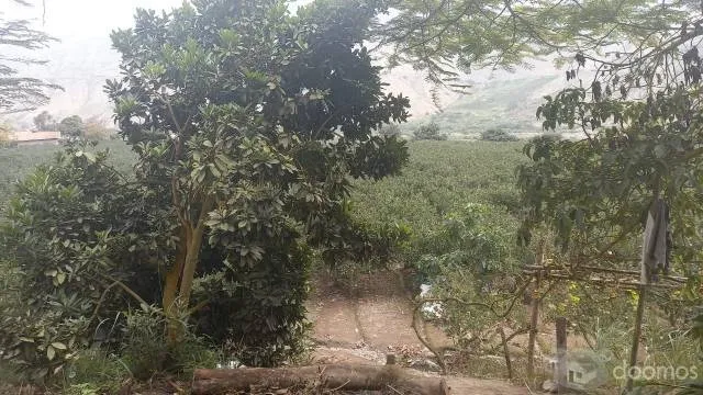 TERRENO CALANGO — foto 7