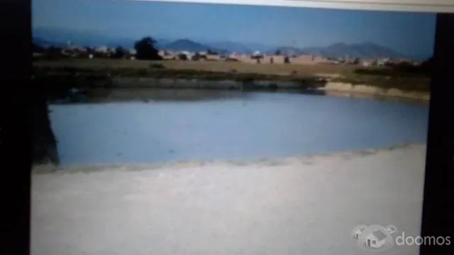 terreno en Huaral para lotizacion ,empresas, universidades cerca a plaza de armas — foto 6