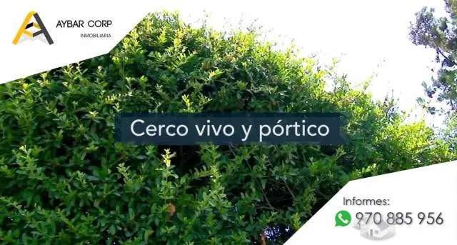 TERRENOS DESDE 120 m² en CHINCHA // FINANCIAMIENTO SIN INTERESES — foto 5