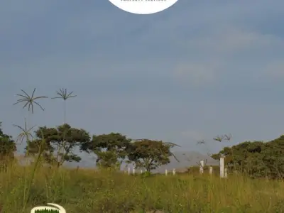 TERRENOS INDEPENDIZADOS DE 1000 M2 EN HUARAL