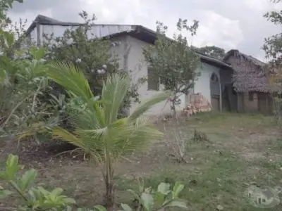 Venta de  propiedad de 8 Has Título , panales de abejas  $ 200,000