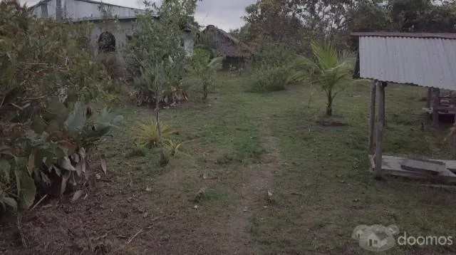 Venta de  propiedad de 8 Has Título , panales de abejas  $ 200,000 - 2
