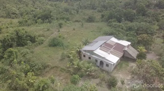 Venta de  propiedad de 8 Has Título , panales de abejas  $ 200,000 - 3
