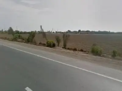 0800590600