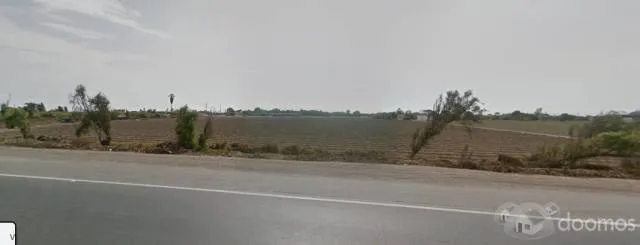 0800590600 — foto 2