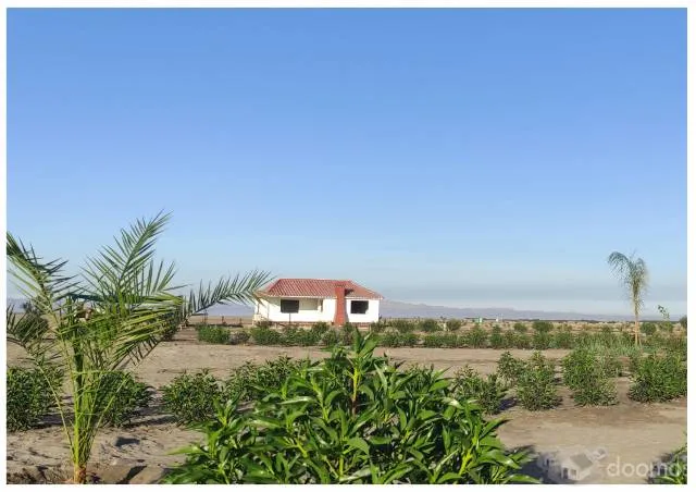 en venta proyecto villa san pablo terrenos de 1000m2 - 1