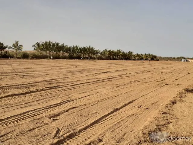 Lotes de Terreno en Punta Sal Tumbes - 4