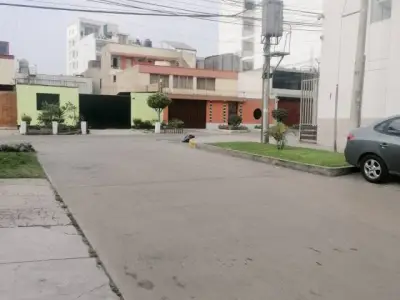 Miniatura 10