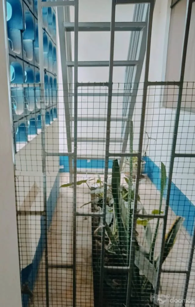 EN VENTA CON PRECIO DE OCASIÓN CASA EN URB PALAO, SAN MARTÍN DE PORRES — foto 3