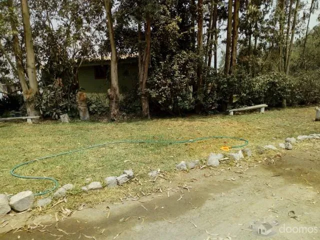 ALQUILO MINI DEPARTAMENTO EN 4TO PISO, GIRASOLES CHACLACAYO- SOL TODO EL AÑO — foto 7