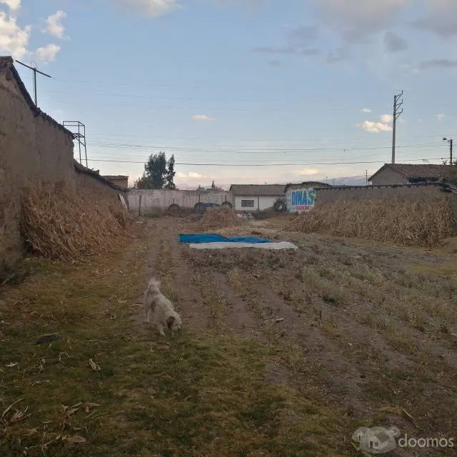 Se vende Terreno San Agustín de Cajas - Huancayo - 4