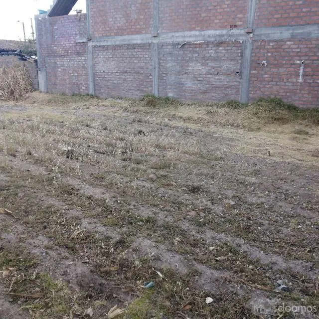 Se vende Terreno San Agustín de Cajas - Huancayo - 5