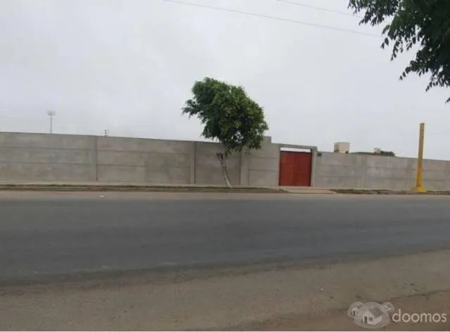 ALQUILO LOCAL COMERCIAL DE 5,000m2 EXCELENTE UBICACIÓN MOCHE-TRUJILLO - 1