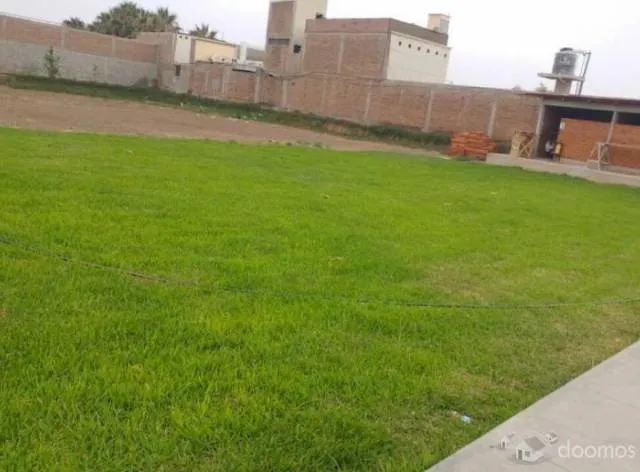 ALQUILO LOCAL COMERCIAL DE 5,000m2 EXCELENTE UBICACIÓN MOCHE-TRUJILLO - 2
