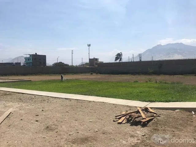 ALQUILO LOCAL COMERCIAL DE 5,000m2 EXCELENTE UBICACIÓN MOCHE-TRUJILLO - 8