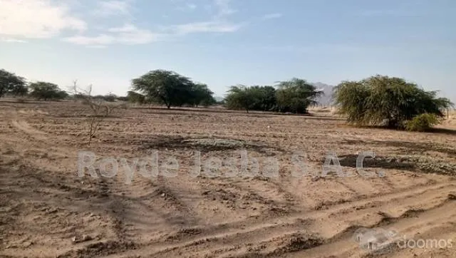 VENDO TERRENO AGRÍCOLA DE 635 Has ( 12,200 m2 ) - 2