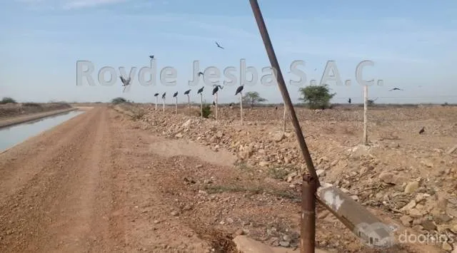 VENDO TERRENO AGRÍCOLA DE 635 Has ( 12,200 m2 ) - 3