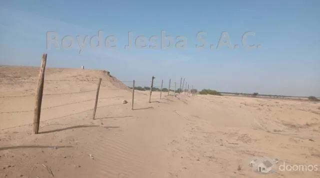 VENDO TERRENO AGRÍCOLA DE 635 Has ( 12,200 m2 ) - 6
