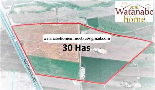 VENDO TERRENO. AREA - 30 HECTAREAS * CAÑETE - LIMA — foto 3