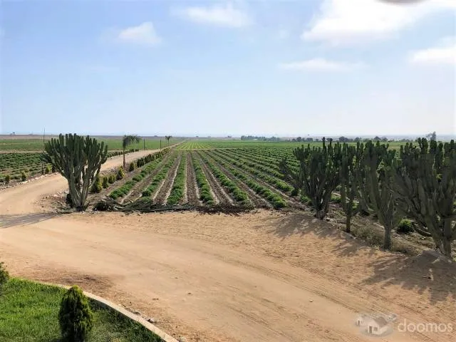 VENDO TERRENO. AREA - 30 HECTAREAS * CAÑETE - LIMA — foto 4