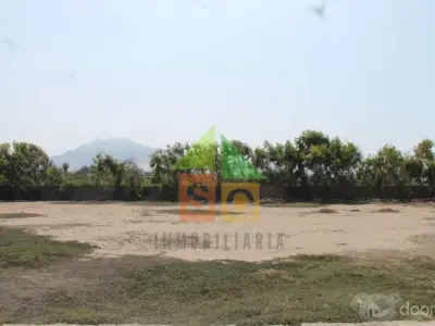 Terreno en El Palmar