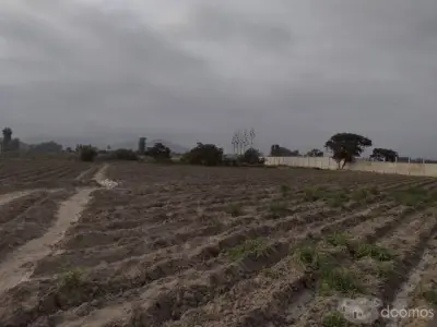 Se vende terreno de 500 metros en Chancay.