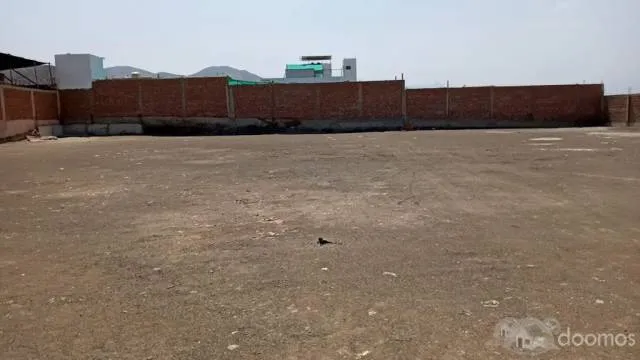 SE ALQUILA TERRENO DE 2500m2 EN PUCUSANA - 5