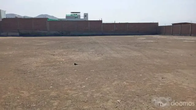 SE ALQUILA TERRENO DE 2500m2 EN PUCUSANA - 6
