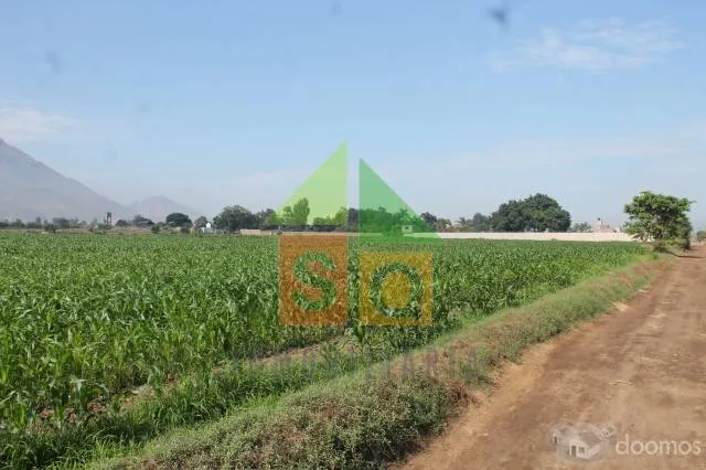 Terreno ideal para Proyecto en Valle de Laredo - 3