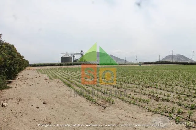 Lindo Terreno en Venta Moche — foto 5