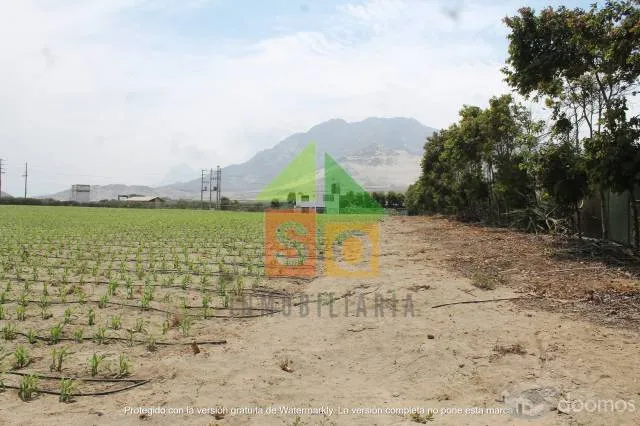 Lindo Terreno en Venta Moche — foto 6