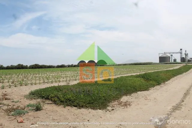Lindo Terreno en Venta Moche — foto 7