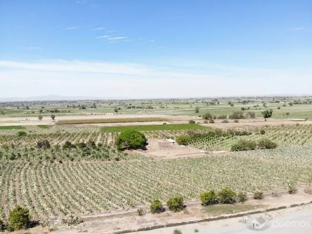 TERRENOS EN LA JOYA DE 200m2 EN VENTA - 1