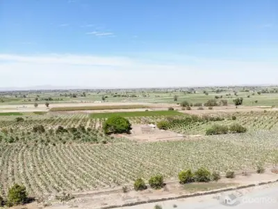 TERRENOS EN LA JOYA DE 200m2 EN VENTA