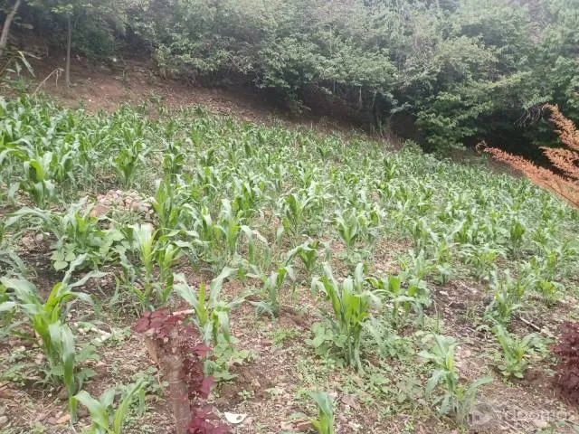 VENTA DE TERRENO CON TITULO DE PROPIEDAD CON PAPELES EN REGLA - 3
