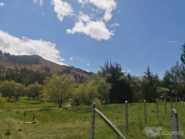 VENDO TERRENO DE 1000 M2 — foto 3