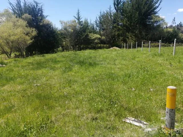 VENDO TERRENO DE 1000 M2 — foto 4