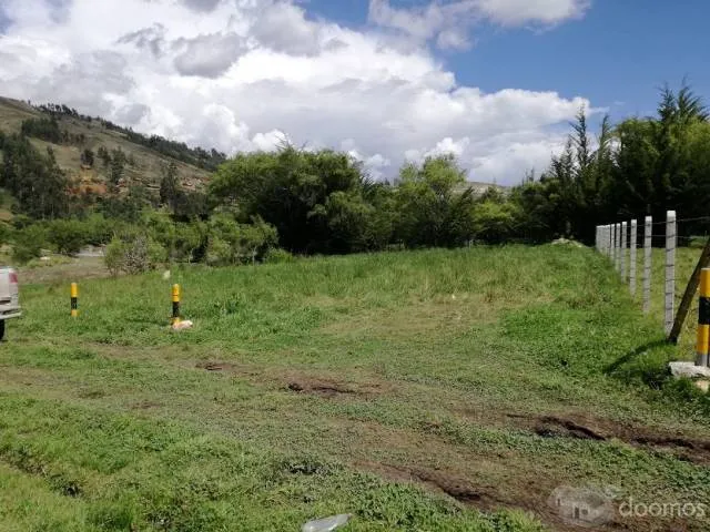VENDO TERRENO DE 1000 M2 — foto 6