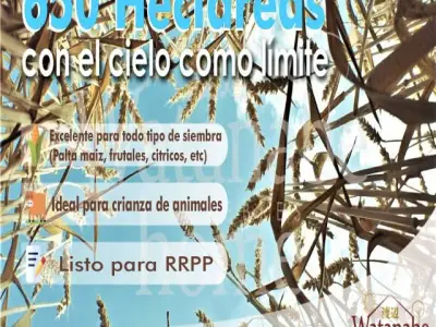 SE VENDE …·:* con el cielo como límite….TIROLES HUACHO