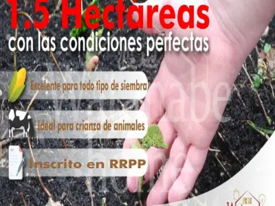 * SE VENDE TERRENO * . * con las condiciones perfectas .... *.* MEDIO MUNDO